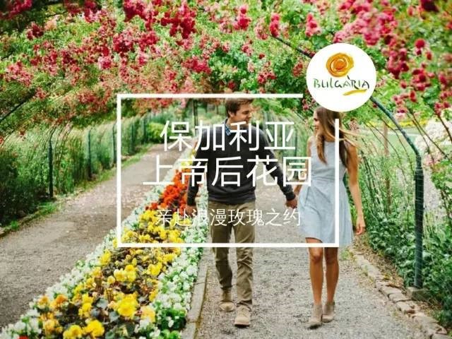 保加利亚玫瑰花园