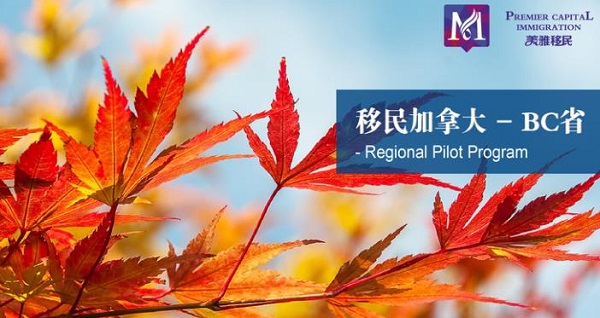 2019年加拿大最新商业移民计划 