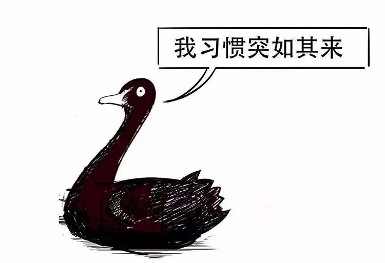 黑天鹅事件